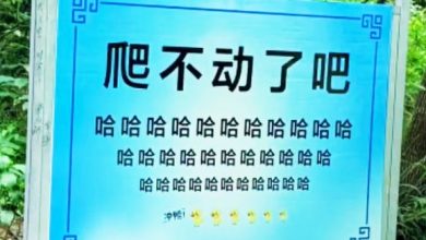 Photo of “爬不动了吧哈哈哈” 嵩山景区魔性标语爆红