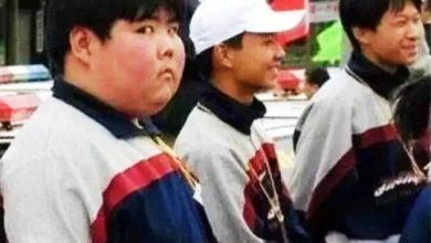 Photo of “王之蔑视”表情包火爆全网 网红小胖近况曝光