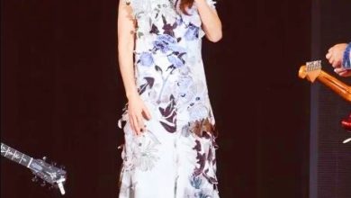 Photo of Hebe当动力火车嘉宾引全场暴动 Selina宽松穿搭再传怀二胎