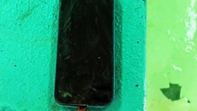 Photo of iPhone手机被龙胆石斑吞下 8个月后鱼尸内寻回