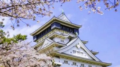Photo of 日本多地爆神秘感冒 冠病流感均阴性 全家集体中招