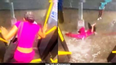 Photo of 【视频】纽约暴雨多地被淹 女子刚下车就被冲走