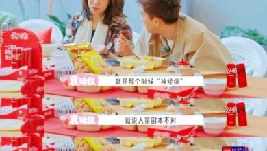 Photo of 投诉剧本被TVB雪藏 袁咏仪自嘲是“神经病”