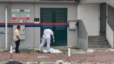 Photo of 哮喘华妇出院后 卧尸组屋楼下
