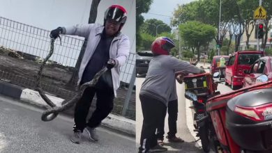 Photo of 当街捕蛇塞外卖箱 网民: 蛇肉订单到了