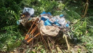 Photo of 男子遭野象袭击身亡 现场留有巨大足迹
