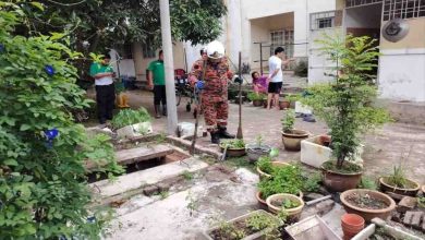 Photo of 男子为救猫咪失足 不慎坠入4米深沟