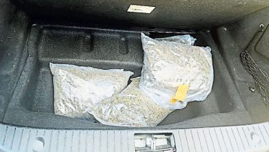 Photo of 为1800元酬劳铤而走险 3男女运大麻花被捕