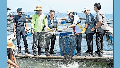 Photo of 曹观友：指示相关机关研究 让海上养殖业申请TOL