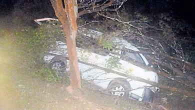 Photo of 客货车翻覆撞大树 1老妇重伤亡