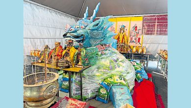 Photo of 钻过神轿求虎爷赐平安 吉天后宫为宠物祈福