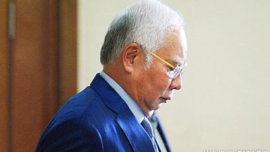Photo of PETA：包括纳吉 要求加影监狱提供纯素餐