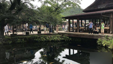 Photo of 游客爱丢硬币！ 日本名胜忍野八海硬币捞不完引发污染
