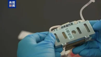 Photo of 神舟23号任务满档 将展开逾百项科学研究