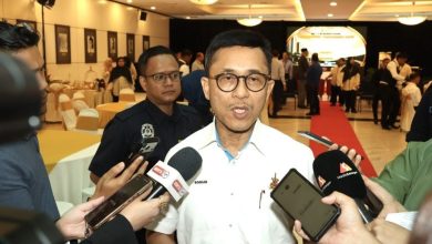 Photo of 养猪场通融期结束 7月起进入执法阶段