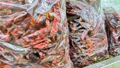 Photo of 辣椒干现粉尘别吃 槟卫生局: 长期摄取伤肝致癌
