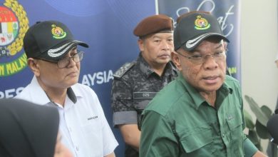Photo of 赛夫丁: 难民可获工作机会 但不能永久留马