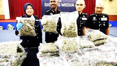 Photo of 1260万大麻花图运欧 警捕7外籍毒骡