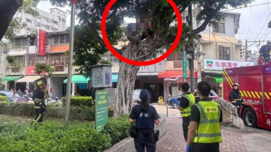 Photo of 天气热爬树上喝酒腿软不敢下来 2男尴尬求救