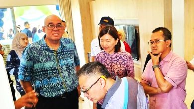 Photo of 行政议员:动物园定期汇报近况 在日3象适应良好