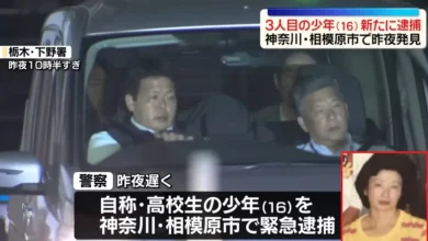 Photo of 日本惊现“流动犯罪集团” 4高中生涉杀老妇