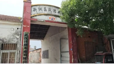 Photo of 武汉惊现“癌症村” 585人中62人患癌 疑化工厂污染村民维权4年无果