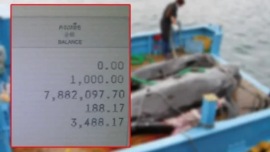 Photo of 男子跳飞机15年攒94万 回国发现被母亲花清光