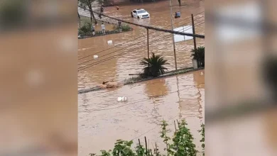 Photo of 重庆永川暴雨致1人死亡17人失联