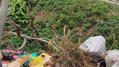 Photo of 槟岛市厅靠垃圾“破案” 乱丢者难逃罚单