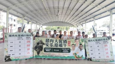 Photo of 端午前猪肉促销 林冠英: 每公斤便宜10令吉