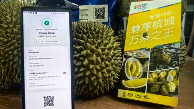 Photo of 槟城榴梿全面“扫码认证” 防冒牌货混入市场