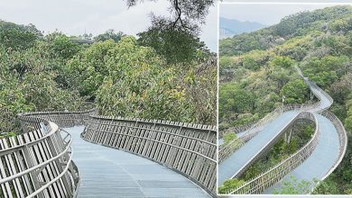 Photo of 【自游自在】行走福州最美步道
