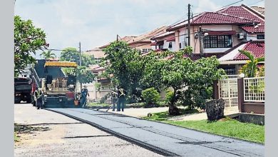 Photo of 郑光池：路面破损坑洞 百大年花园道路重铺