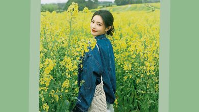 Photo of 拍罢至今8年 《美人鱼2》上映有期