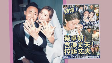 Photo of “控诉丈夫”是假的 阿Sa惨遭恶搞成婚变
