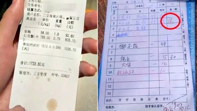 Photo of 4只濑尿虾RM596引争议 43岁老板疑承压脑出血去世