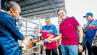 Photo of 甲牲畜二维码标签 降低牛羊在公路游荡