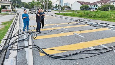 Photo of 拖格罗里扯落电缆灯柱 刘志俍向马电讯投报