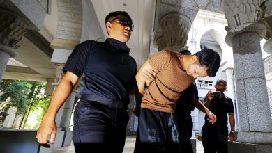 Photo of 涉骗妇女投资化妆品生意 网红不认罪要求审讯