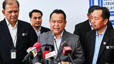 Photo of 阿历山大:政府拨2500万 高风险路装LED路灯