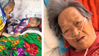 Photo of 97岁网红临终仍插管直播 家属遭轰榨干最后价值