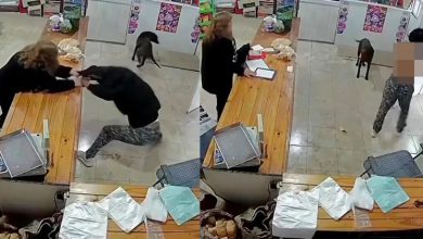 Photo of 行窃被撞破半裸逃走  女贼折返店求删CCTV