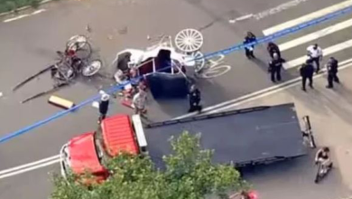 Photo of 马匹暴走翻车 乘客遭甩飞亡
