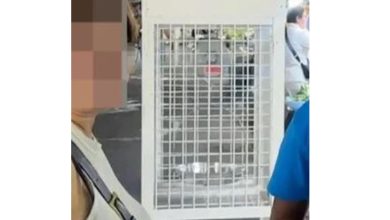 Photo of 中女博主游菲吃“毛鸡蛋” 失忆8小时被盗1.2万