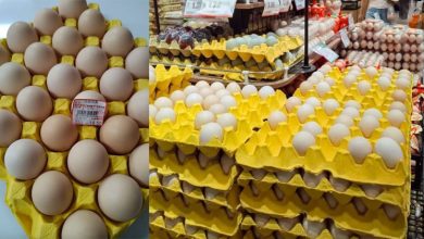 Photo of 中国蛋价暴涨40% 民众叹:贵过鸡肉