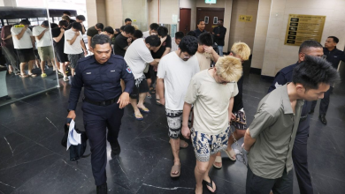 Photo of 29中国男女逾期逗留遭控 13人涉诈骗4人涉赌