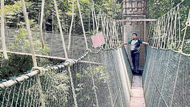 Photo of 瓜拉大汉国家公园 吊桥悬空步道修好开放