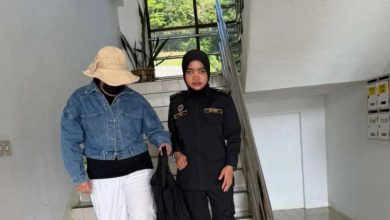 Photo of 非法开垦猫山王榴梿芭 48岁女业者认罪被罚8万
