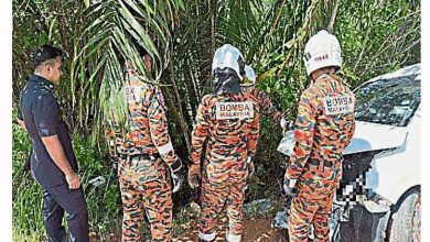 Photo of 轿车罗里碰撞被拋出车外 男子卡树枝身亡
