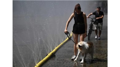 Photo of 西班牙沦重灾区 !  热浪猛袭  欧洲多国沦火炉